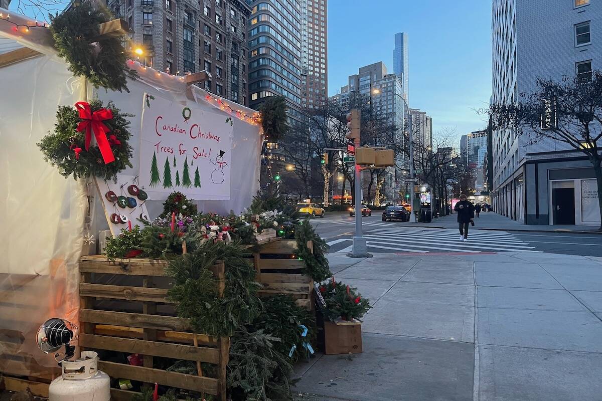 The tree stand on Broadway. (Andy Delaney)