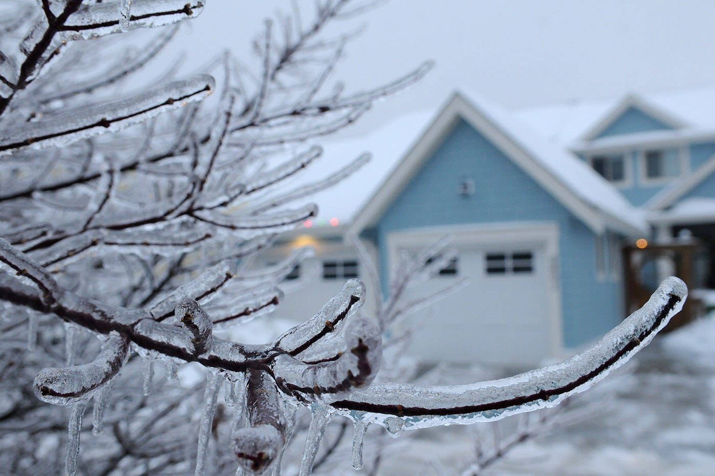 BC Hydro is expecting system damage thanks to a freezing rain forcast for Dec. 22 and Dec.23 (Jenna Hauck/ Chilliwack Progress)