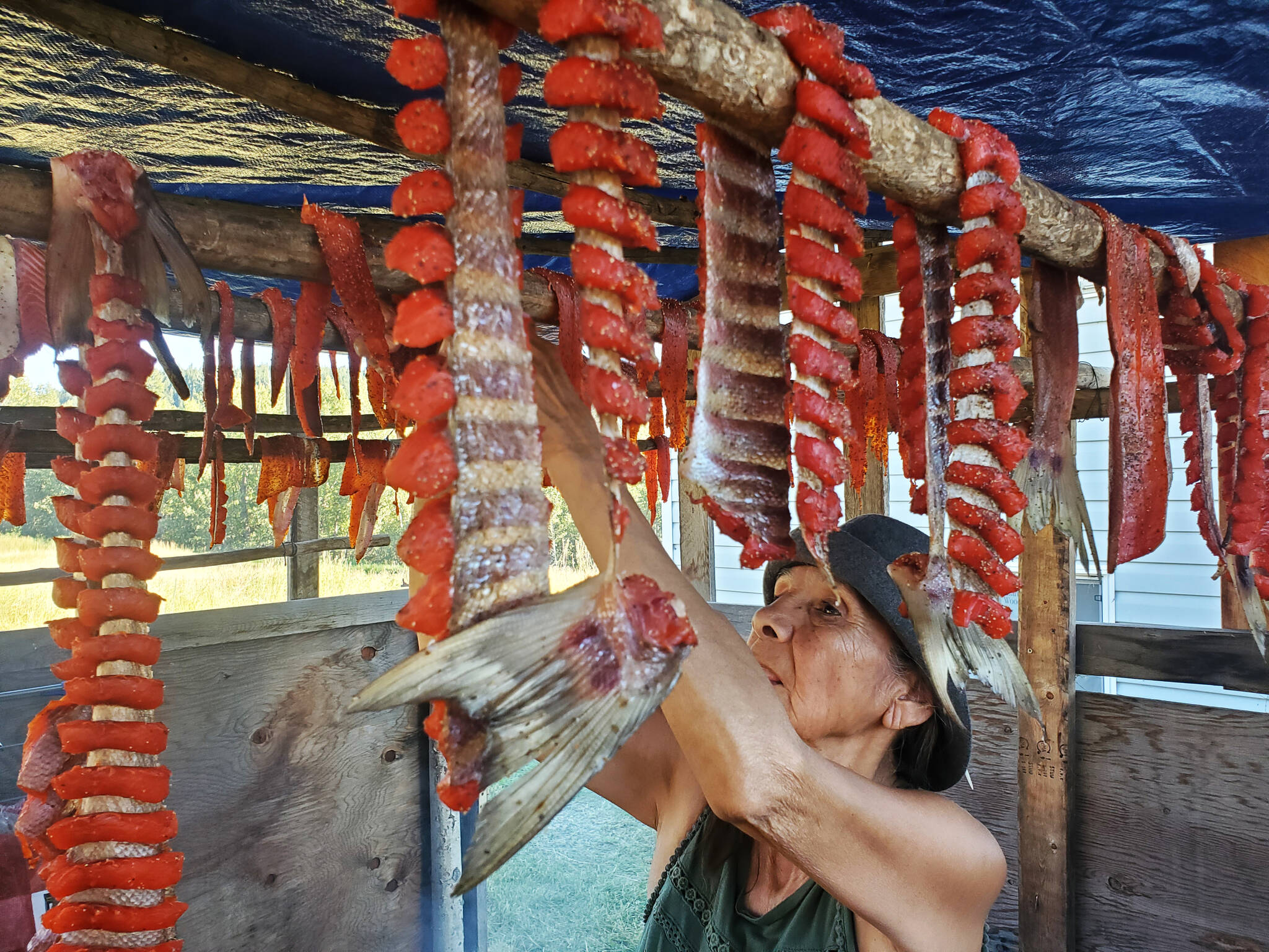 With an abundance of salmon in 2022, Helen Sandy enjoys the process of smoking salmon at her home in Sugar Cane near Williams Lake. (Monica Lamb-Yorski photo - Williams Lake Tribune)