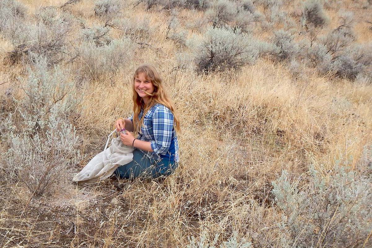 Claudia Copley, an entomologist at the Royal BC Museum, on the hunt for spiders. Copley is one of three biologists asked to champion a less lovable endangered species by Canada’s National Observer. (Photo by Jennifer Heron)