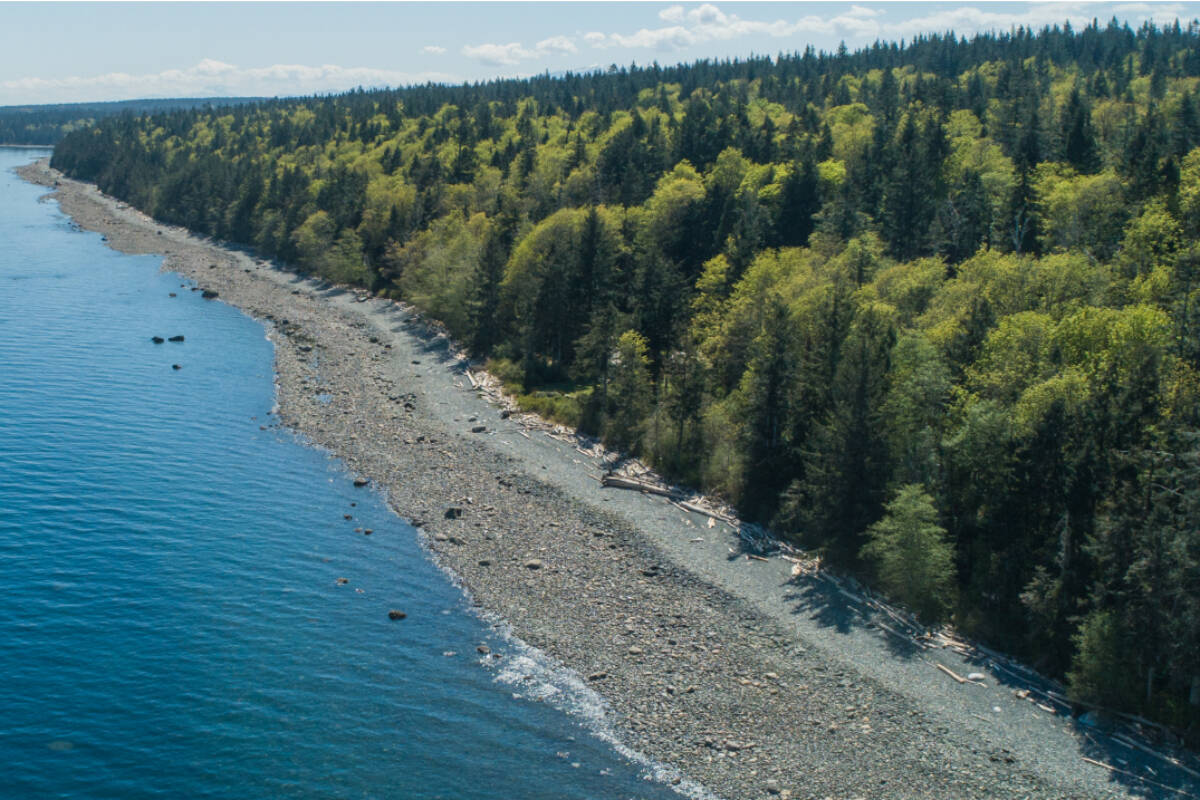 The 40-acre Maris Estates oceanfront property has been gifted to the Comox Valley Regional District through the federal Ecological Gifts Program. Photo supplied