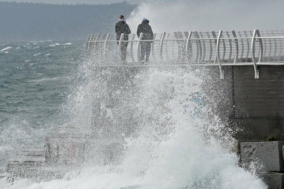 Environment Canada says Greater Victoria can expect wind gusts up to 90 km/h Wednesday (Jan. 11) evening, easing Thursday morning. (Black Press Media file photo)