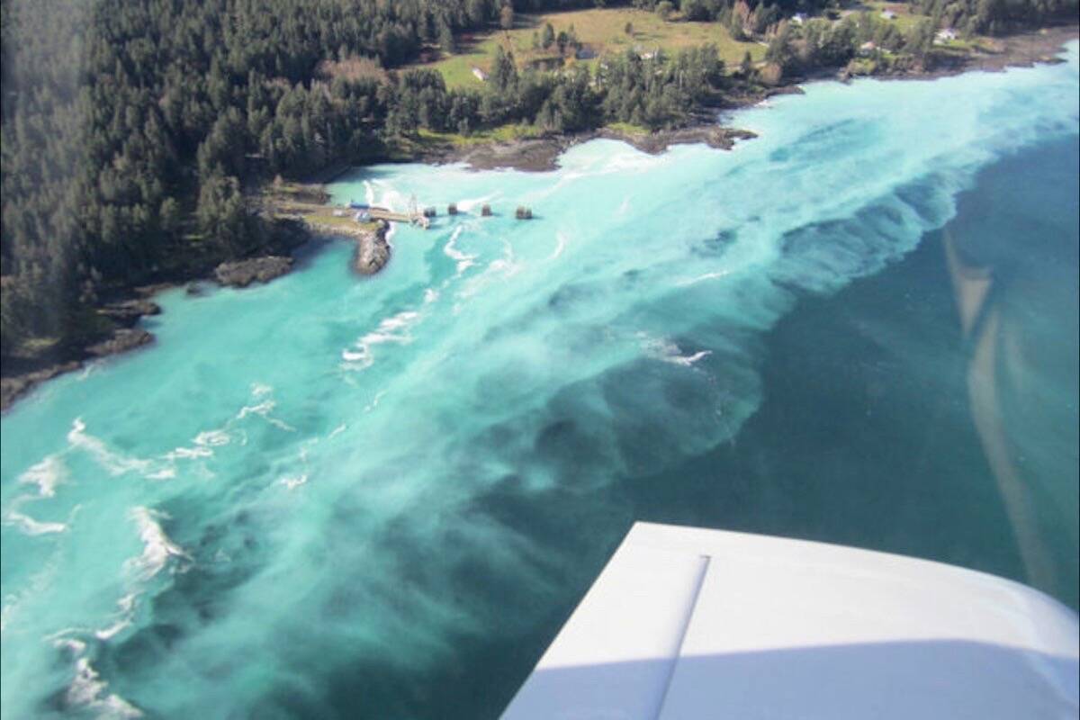 An aerial view of the annual herring spawn in the Salish Sea. Black Press file photo
