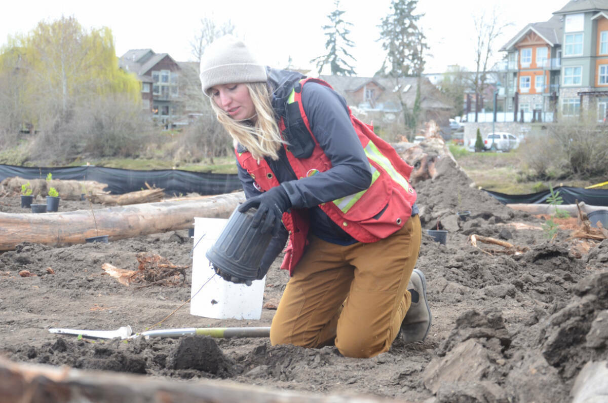 Project Watershed executive director Caitlin Pierzchalski is pictured at a planting event at the Kus-kus-sum site last spring. File photo