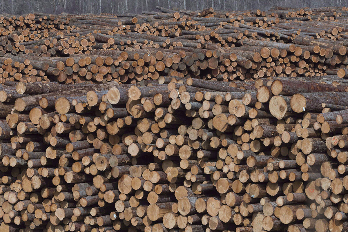 The state of the forest industry has drawn a lot of this week as Premier David Eby continues to address key industry leaders. THE CANADIAN PRESS/Jonathan Hayward