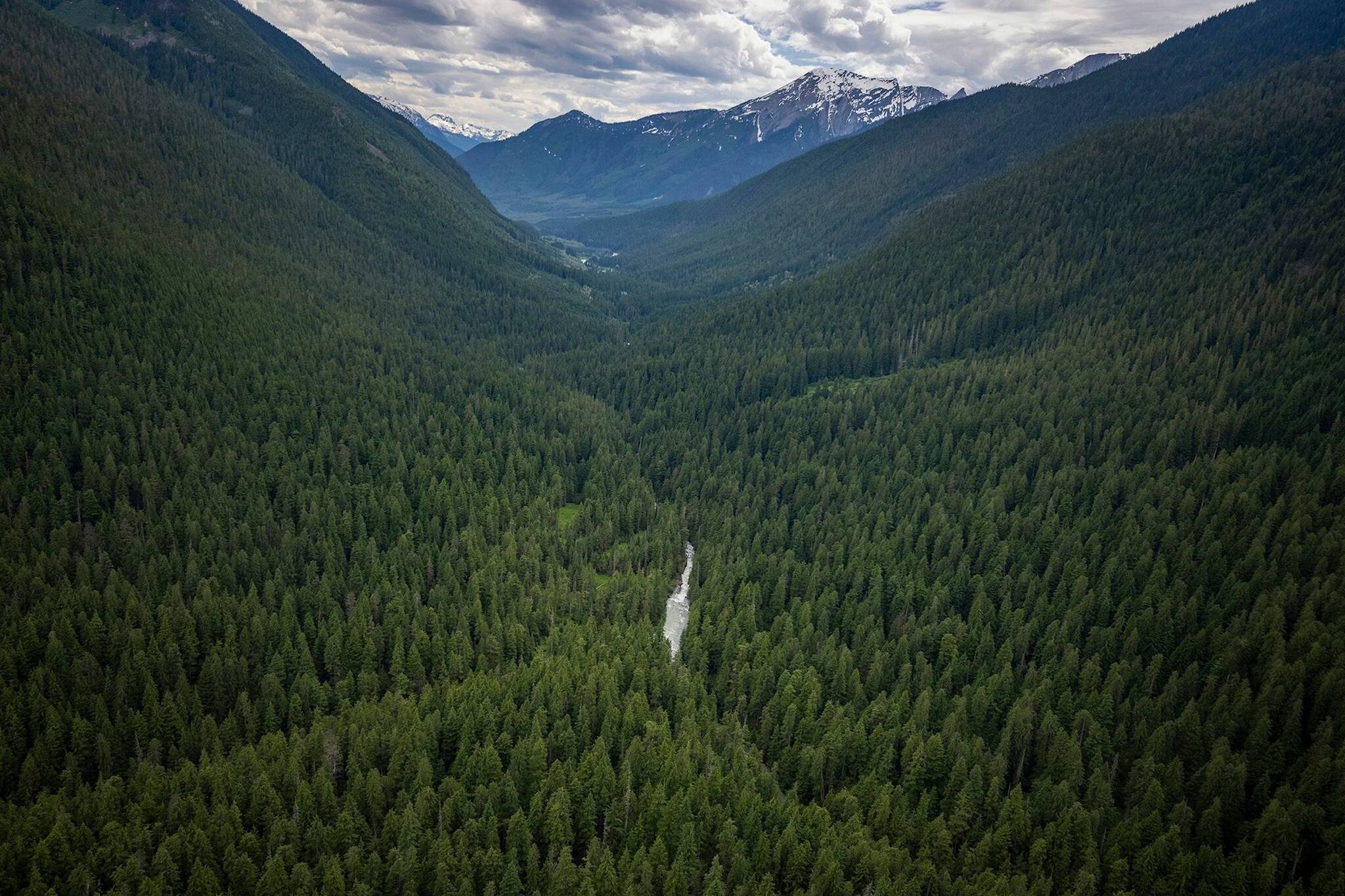 The Incomappleux Valley (Paul Zizka)