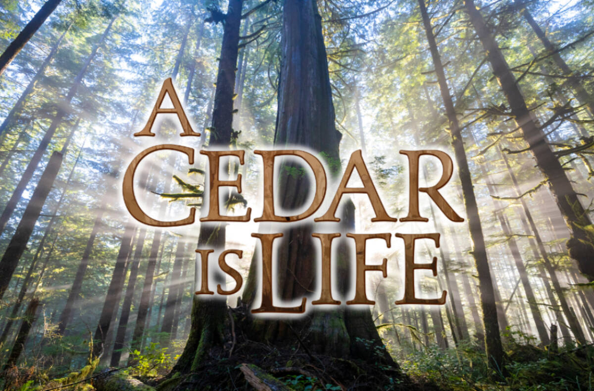A Cedar Is Life will be screened at the Chemainus Theatre Festival Feb. 11. (Photo submitted)