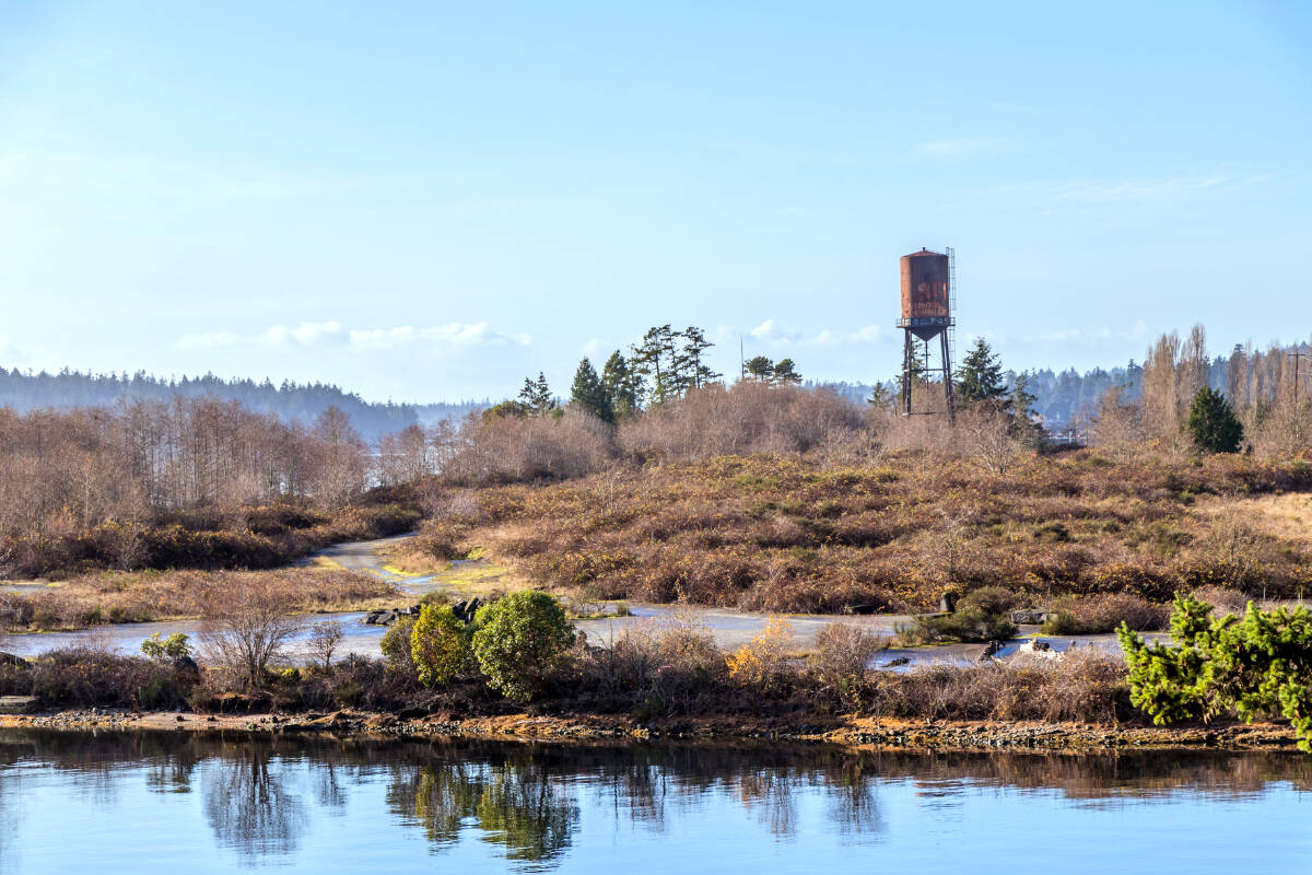 A retired water tower in East Sooke. A new report outlines ways to improve the water system in the area. (Lynda McFaul - Shutterstock)