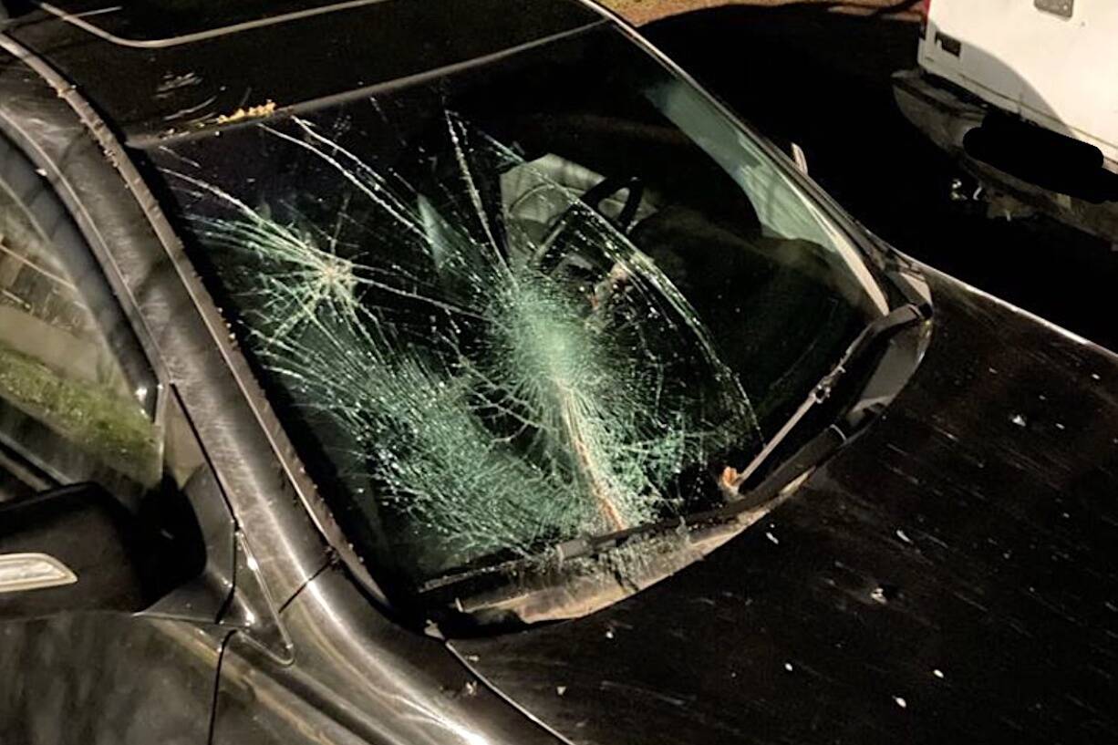 Gusting winds caused power outages and other damage across the Cowichan Valley Monday afternoon and evening. A tree fell onto this car while the occupants were driving in the Cowichan Valley Monday evening. (Courtesy of IG: @fuelforthesole)
