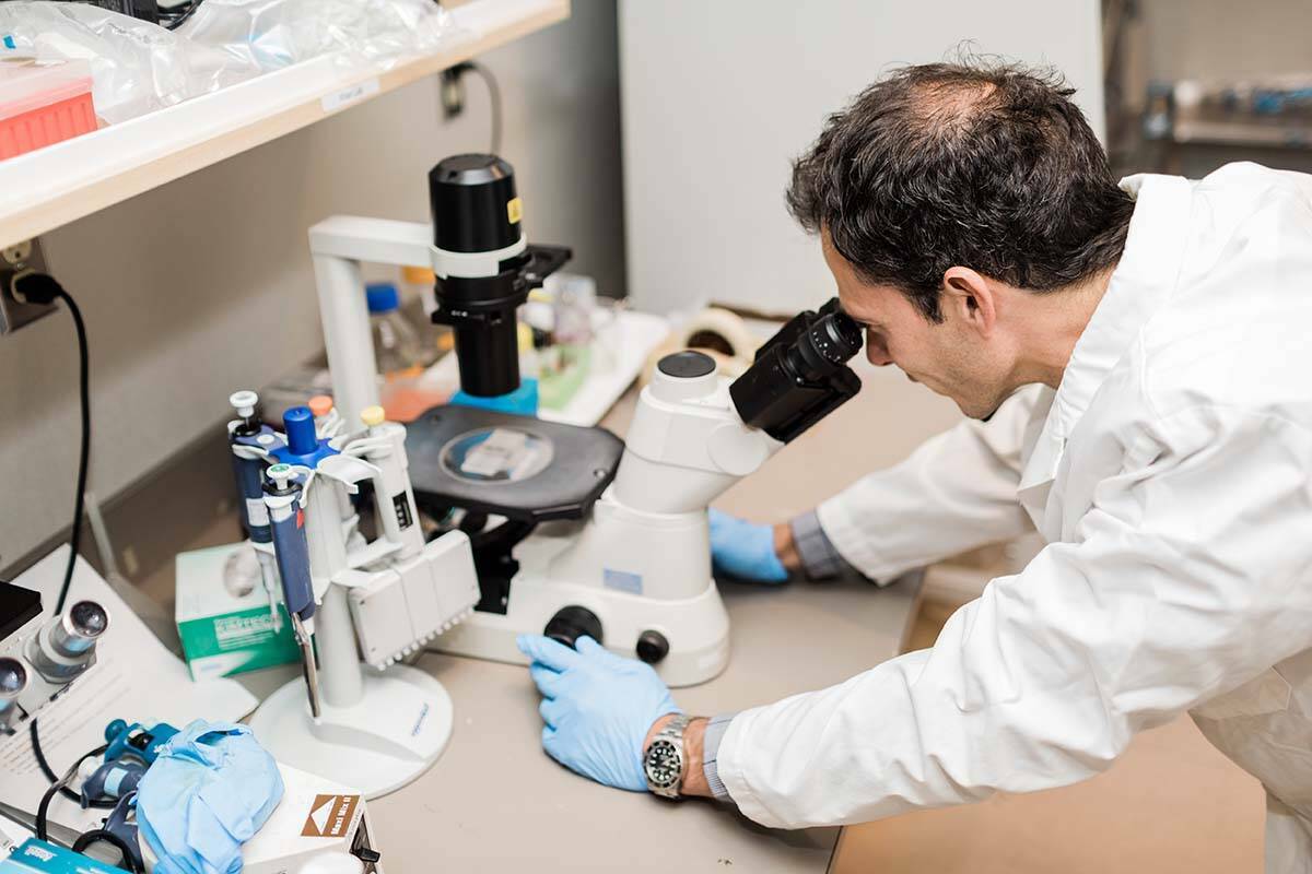 The province will invest $440 million over 10 years to improve all aspects of cancer care in B.C. (Black Press Media file photo)