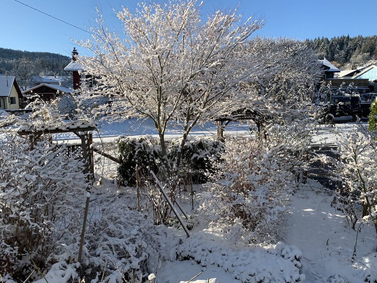 The Cowichan Valley woke up to a layer of snow on Sunday, Feb. 26, 2023. (Andrea Rondeau/Citizen)