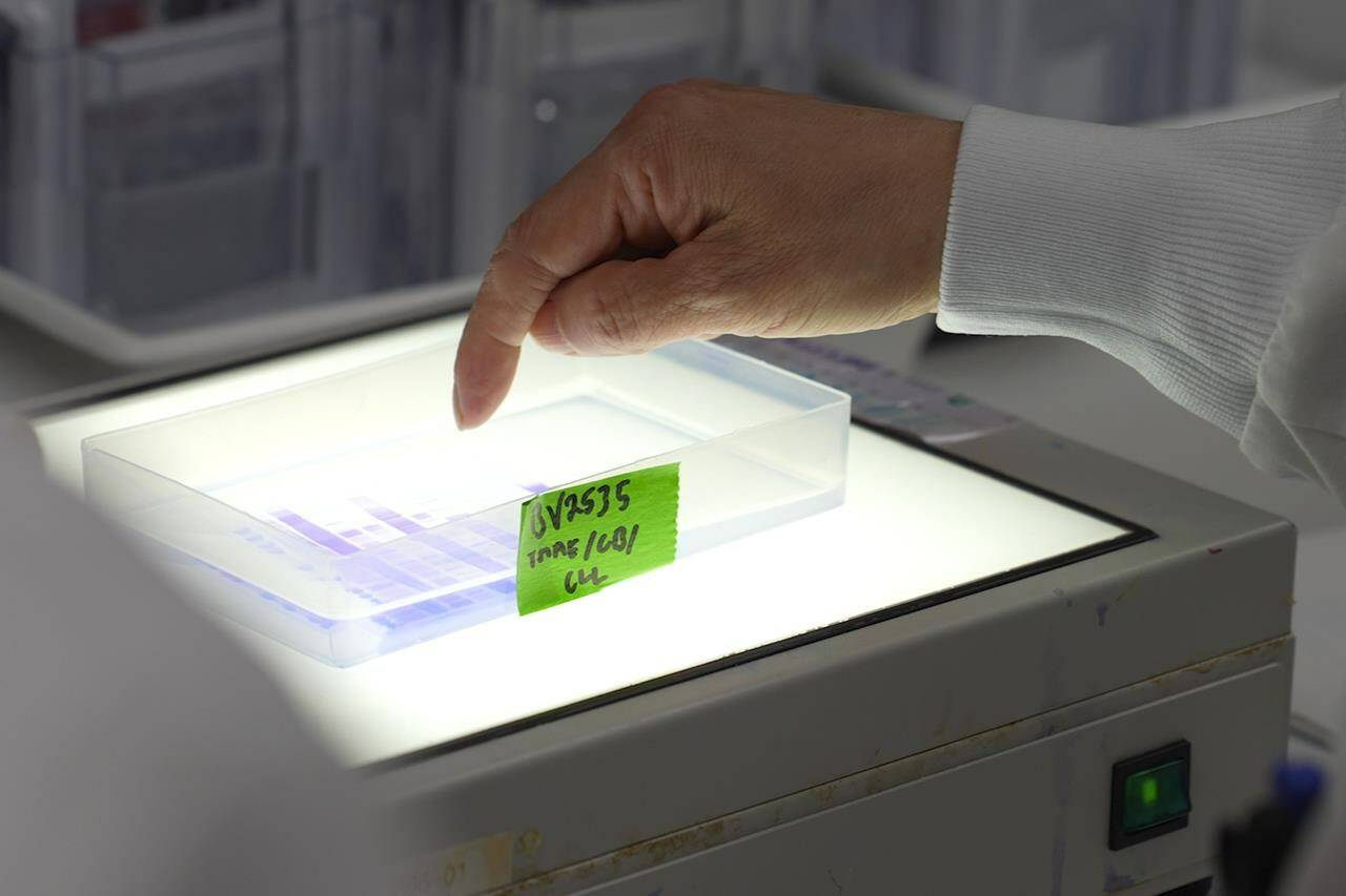Scientists examine a step in the vaccine purification process as they design updates to the Novavax’s COVID-19 shots in the company’s research laboratory on May 24, 2022, in Gaithersburg, Md. THE CANADIAN PRESS/AP-Angie Wang