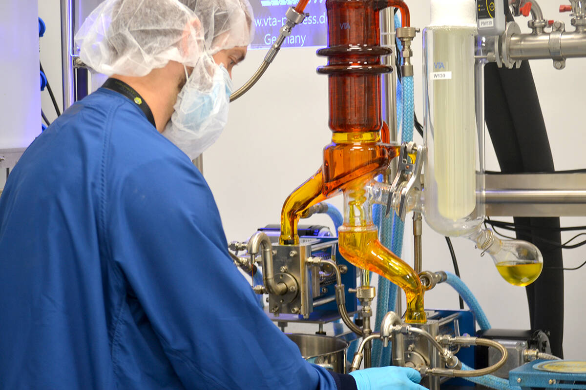 A lab worker making cannabis products at Adastra Lab Holdings in the Langley Township. (Black Press Media files)