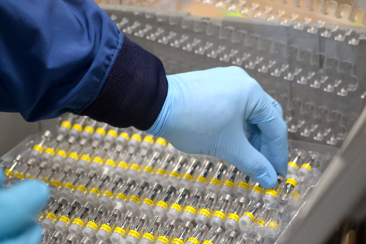 LanDistillate cannabis products at Adastra Lab Holdings in the Langley Township. (Black Press Media files)