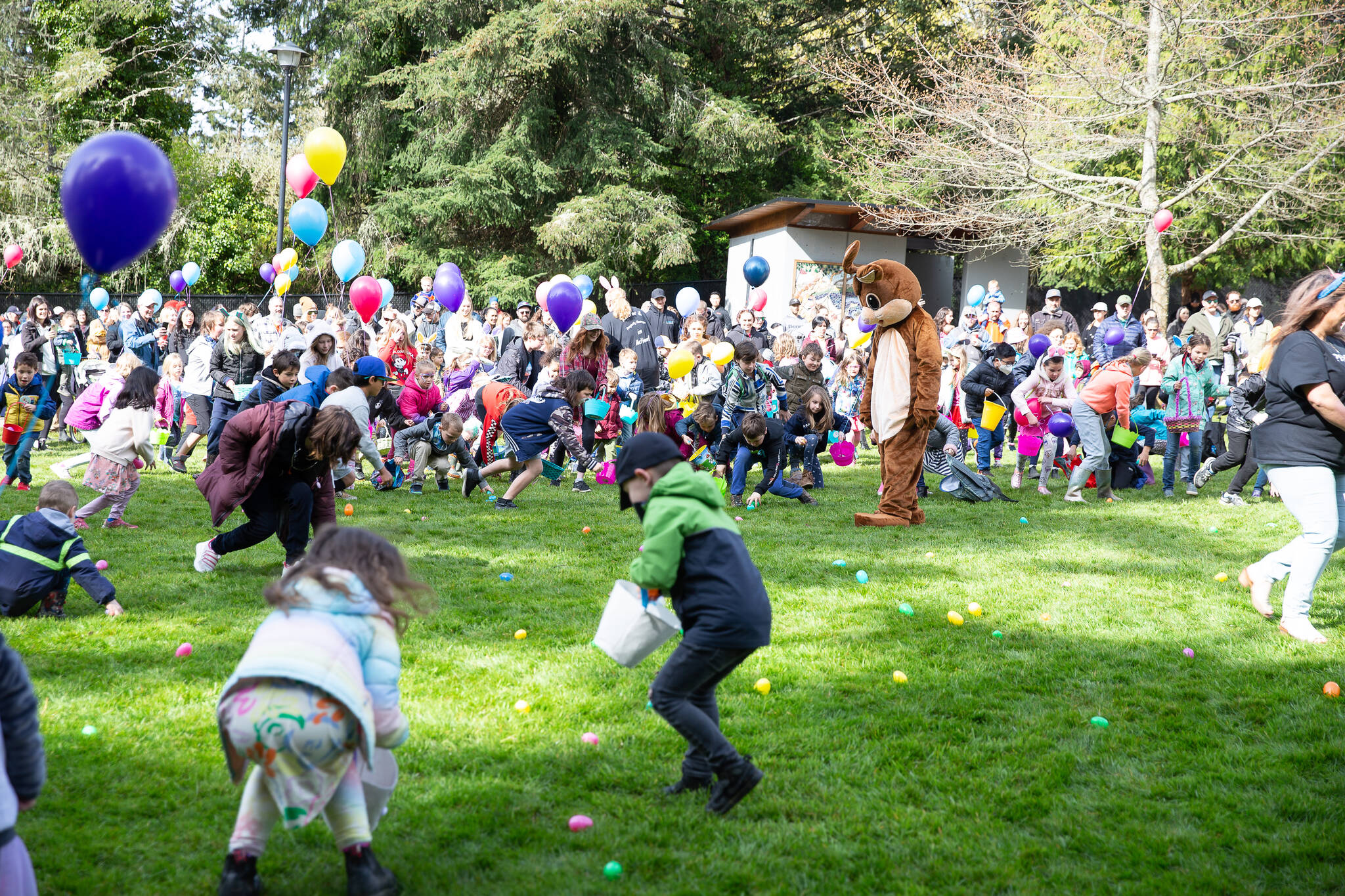 Last year’s Easter egg hunt put on by Pemberton Holmes drew a crowd. This year’s event takes place on April 8 at Ed Macgregor Park. (Contributed)