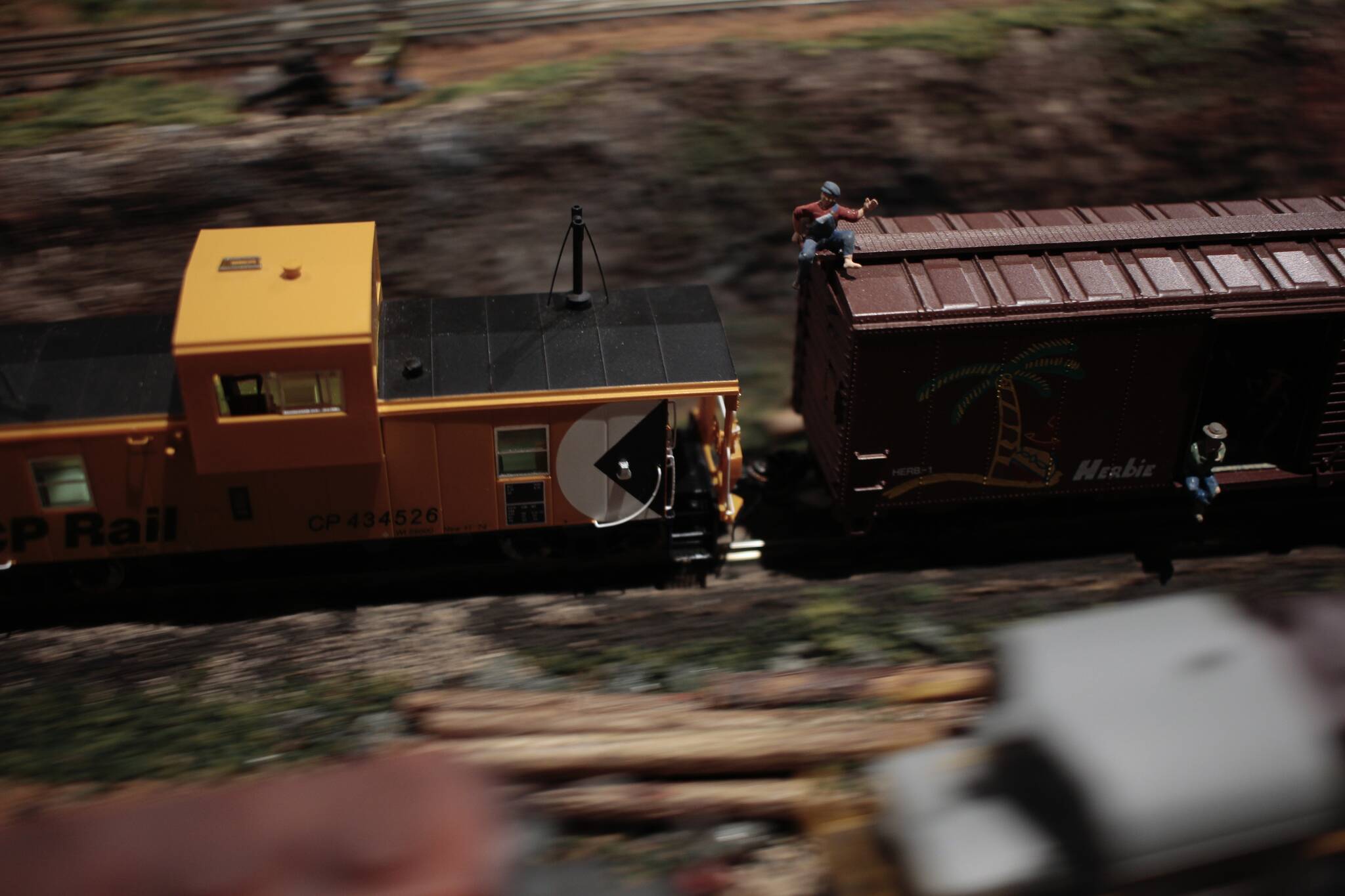 The trains were brought by the North Island Model Railroaders. Photo by Marc Kitteringham/Campbell River Mirror