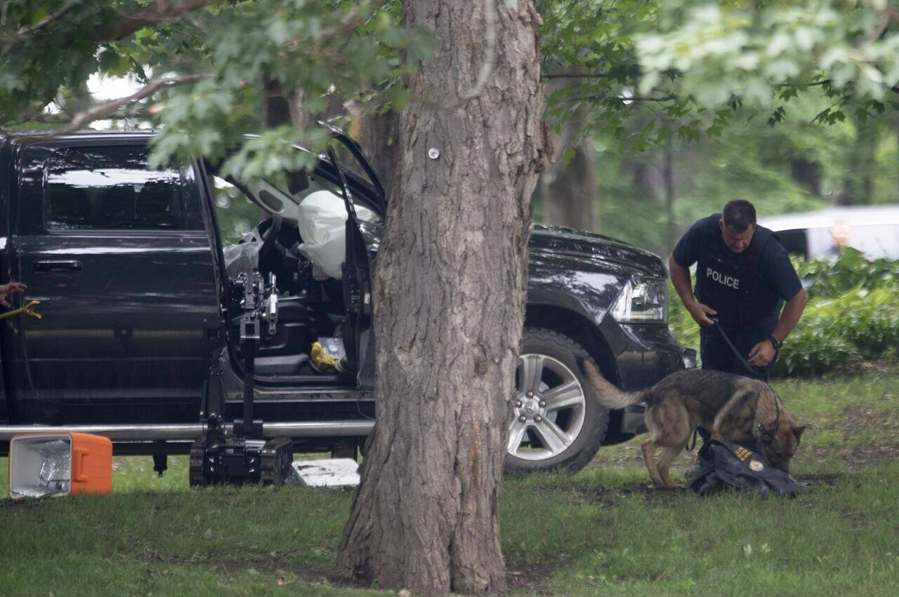 An RCMP officer works with a police dog as they move through the contents of a pickup truck on the grounds of Rideau Hall in Ottawa, Thursday, July 2, 2020. The Ontario Court of Appeal has quashed a sentencing appeal in the case of a Manitoba man who stormed the gates of Rideau Hall in 2020 and sought an armed confrontation with the prime minister. THE CANADIAN PRESS/Adrian Wyld