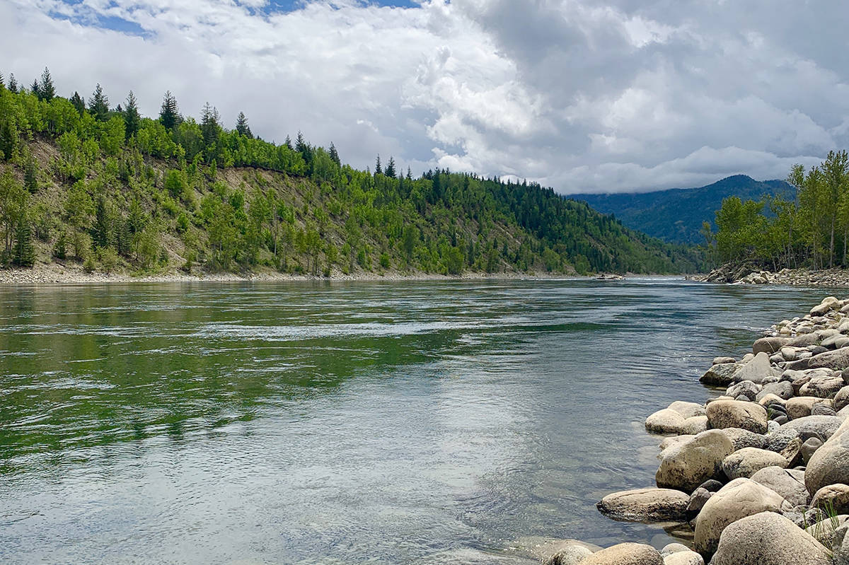 View of the Columbia River shoreline in Trail. Photo: Jesse Regnier