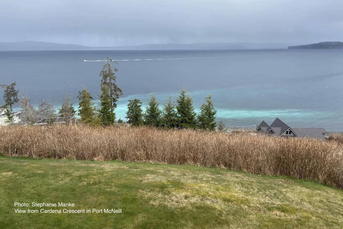 The view of the herring spawn from Cardena Crescent in Port McNeill. (Stephanie Manke photo)