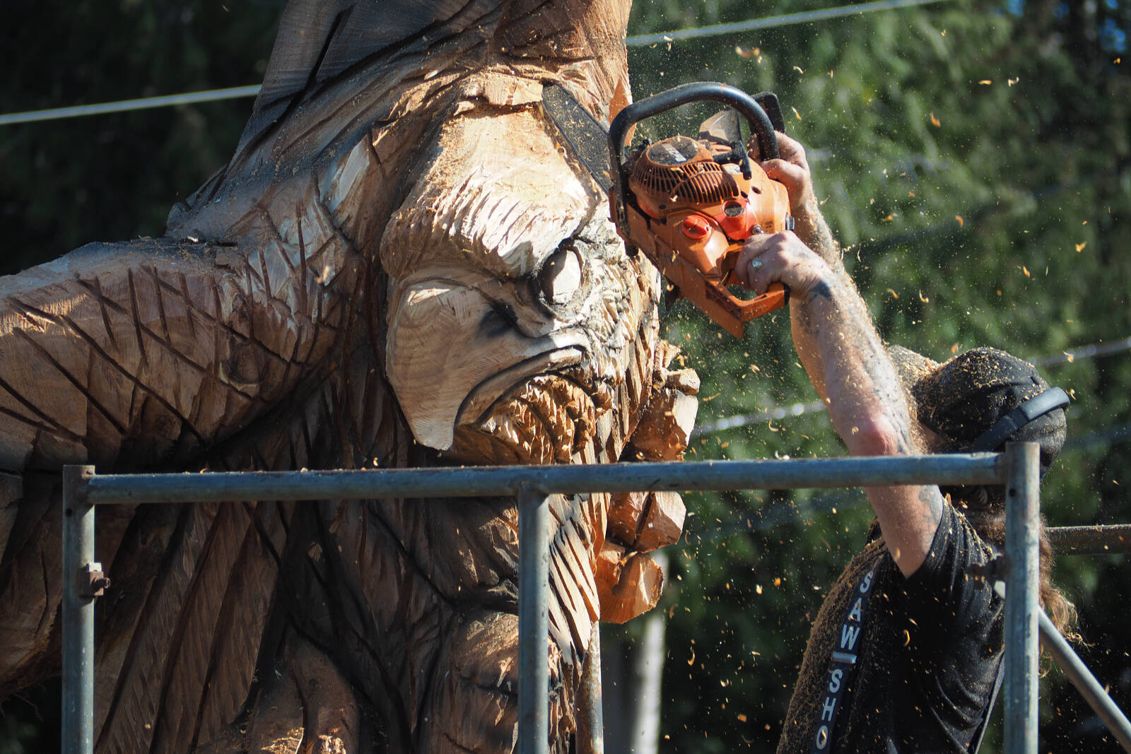 Nanaimo chain saw artist Dan Richey is carving a huge bald eagle from a cedar tree that was starting to cause damage with its roots that were lifting a driveway and walkways at a home in north Nanaimo. (Chris Bush/ News Bulletin)