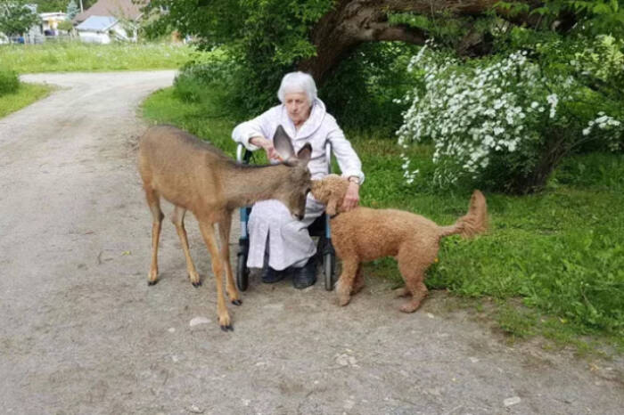 A GoFundMe campaign has been launched to support Doreen Koch, 92, of Lumby, who has spent over $100,000 in legal fees fighting for the right to own her property after her son signed a contract to sell the property before dying of liver failure in 2020. (GoFundMe photo)