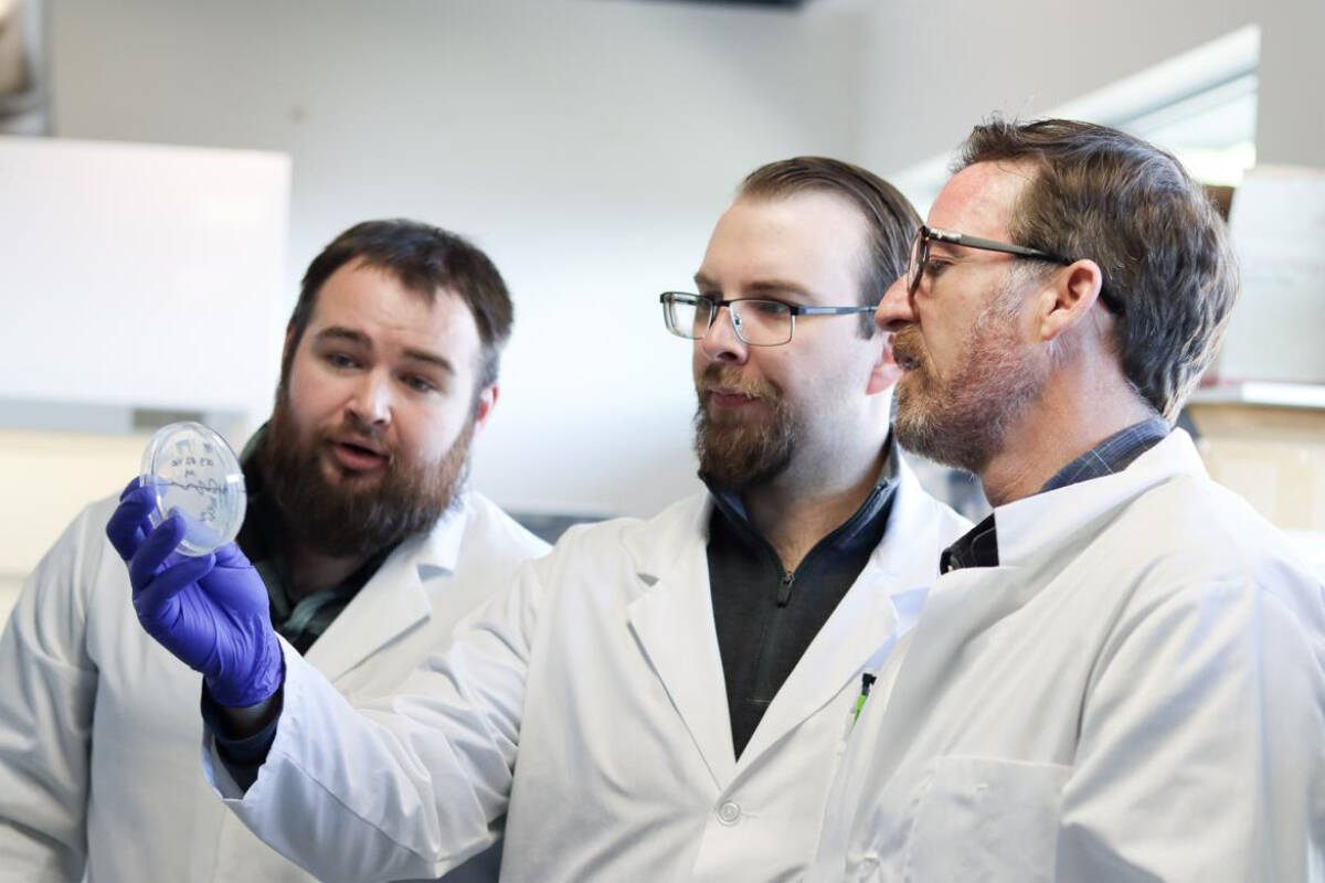 Spencer Russell, right, is researching better tools to detect and manage bacterial infections in salmon. (Photo courtesy Vancouver Island University)