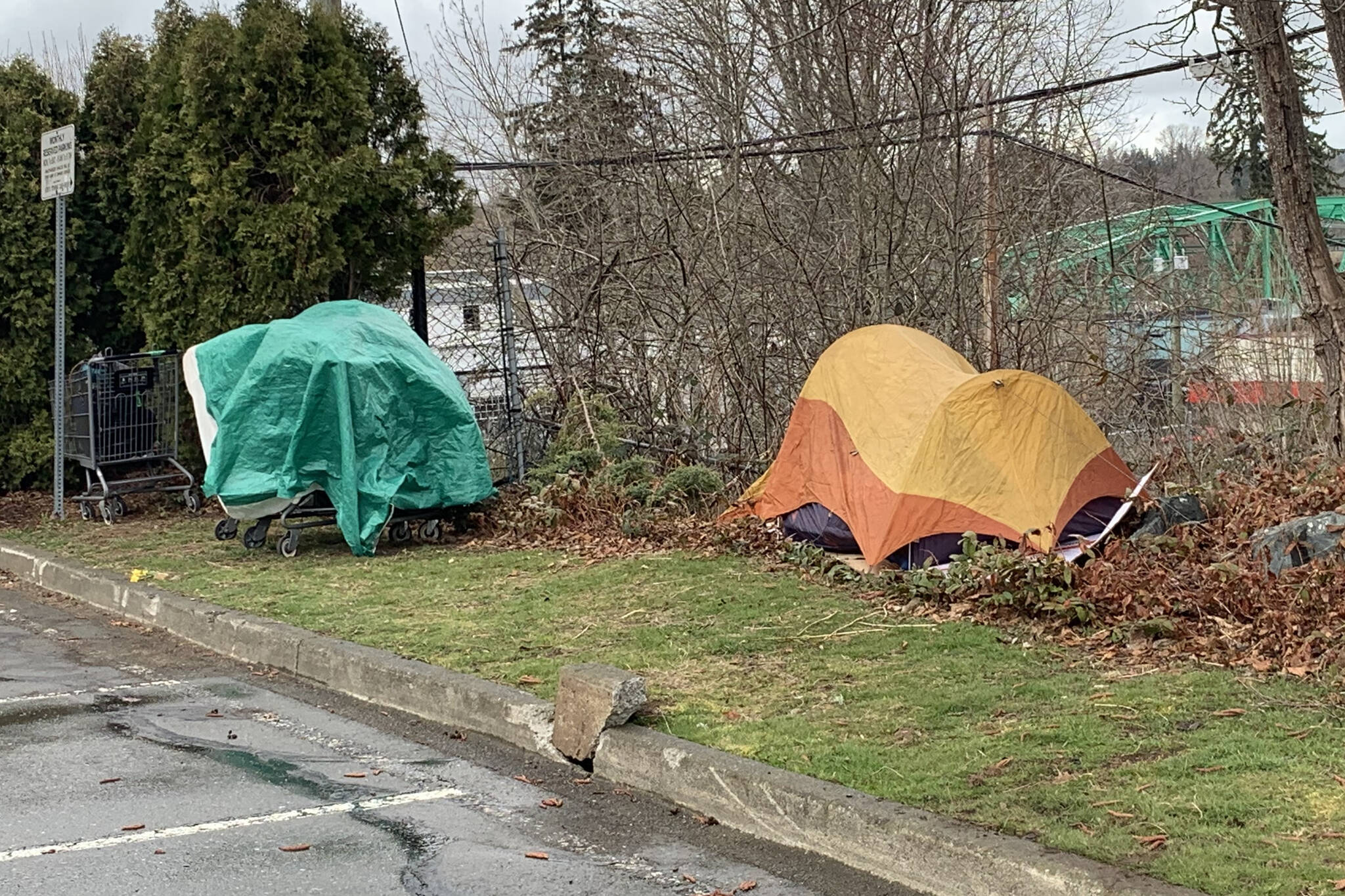 Makeshift shelters and pup tents, such as these erected in the Courtenay City Hall parking lot, are becoming increasingly prominent in the community as the homelessness epidemic surges in the Comox Valley. Photo by Terry Farrell.