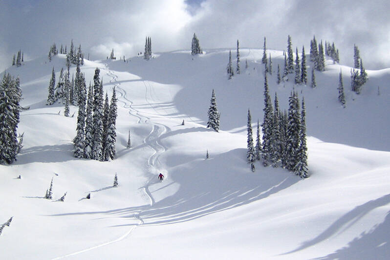 (Great Northern Snowcat Skiing)