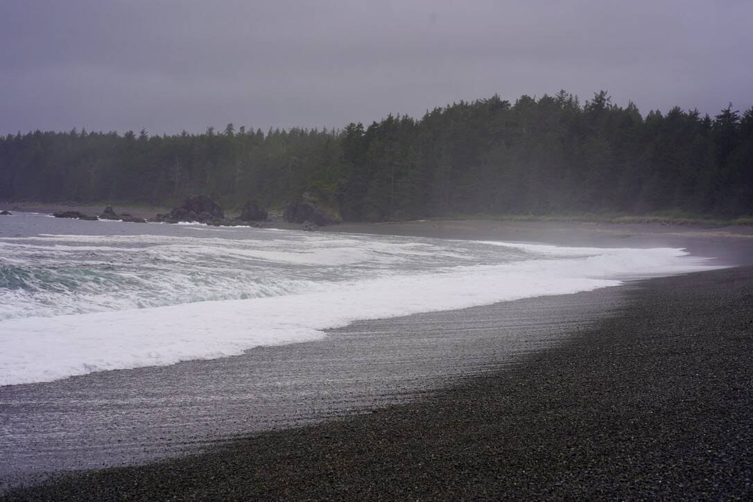 A documentary called Tsunami 11th Relative will be shown in various North Island communities this spring. Photo courtesy Strathcona Regional District