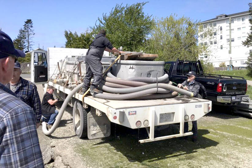 The South Vancouver Anglers Coalition will release 650,000 salmon fry in the next two months. (Contributed)