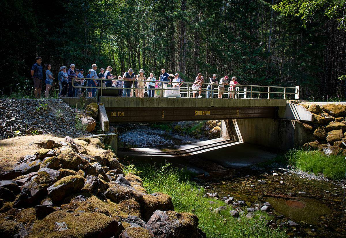 The CRD watershed tour explores the surrounding forests and Rithet Creek – the main tributary to Sooke Lake Reservoir. (Courtesy CRD)