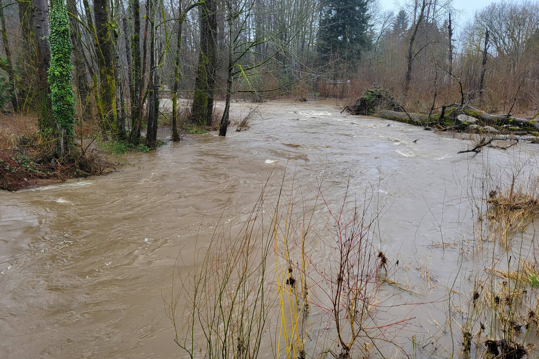 On May 2, the City of Courtenay issued a flood management plan on May 2 to deal with the possibility of flooding. File Photo