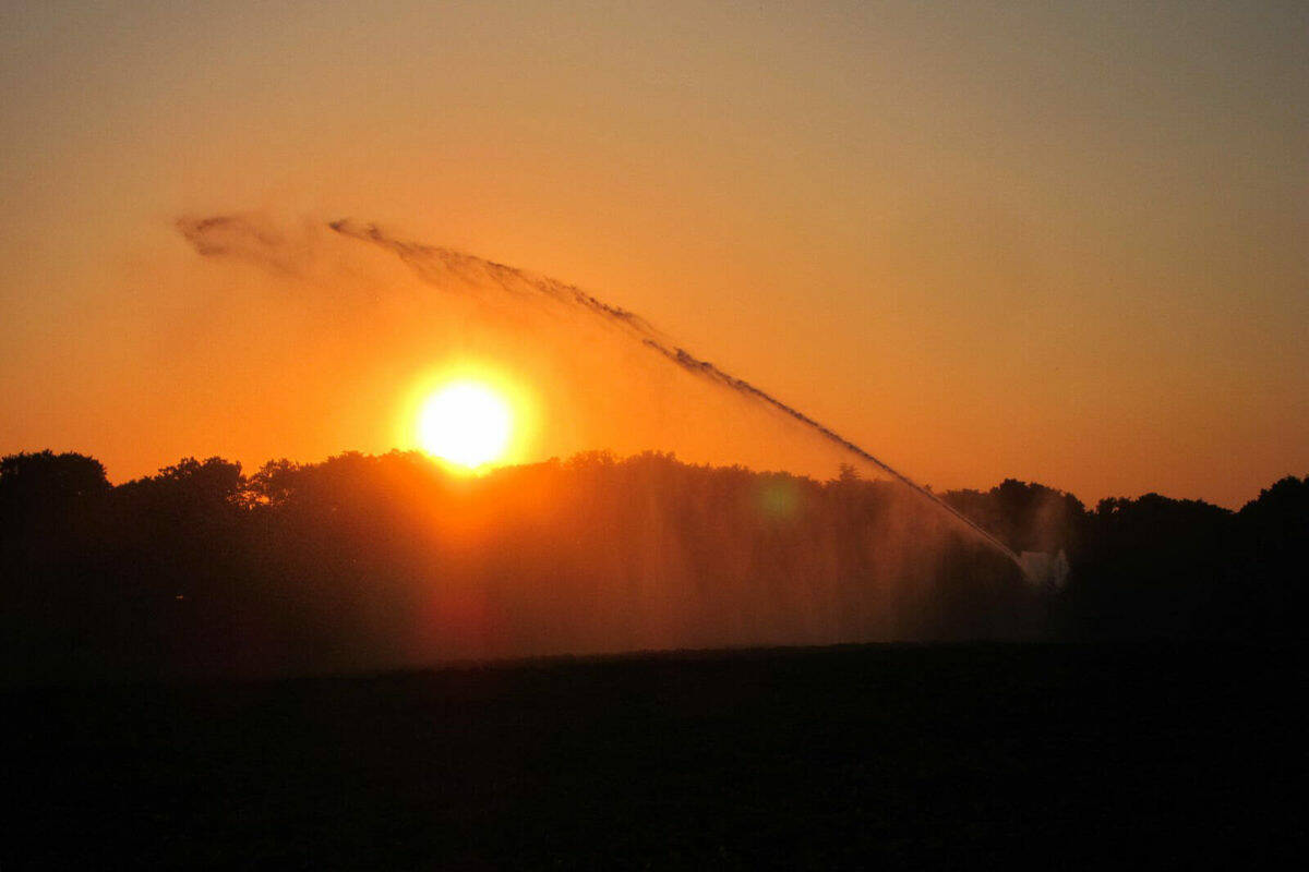 The BC Coroners Service confirmed that 619 people died during the 2021 heat dome between June 25 and July 1. Provincial emergency official do not anticipate a heat dome scenario with temperatures expected to surge this week, but are able to respond if necessary. (Black Press Media file photo)