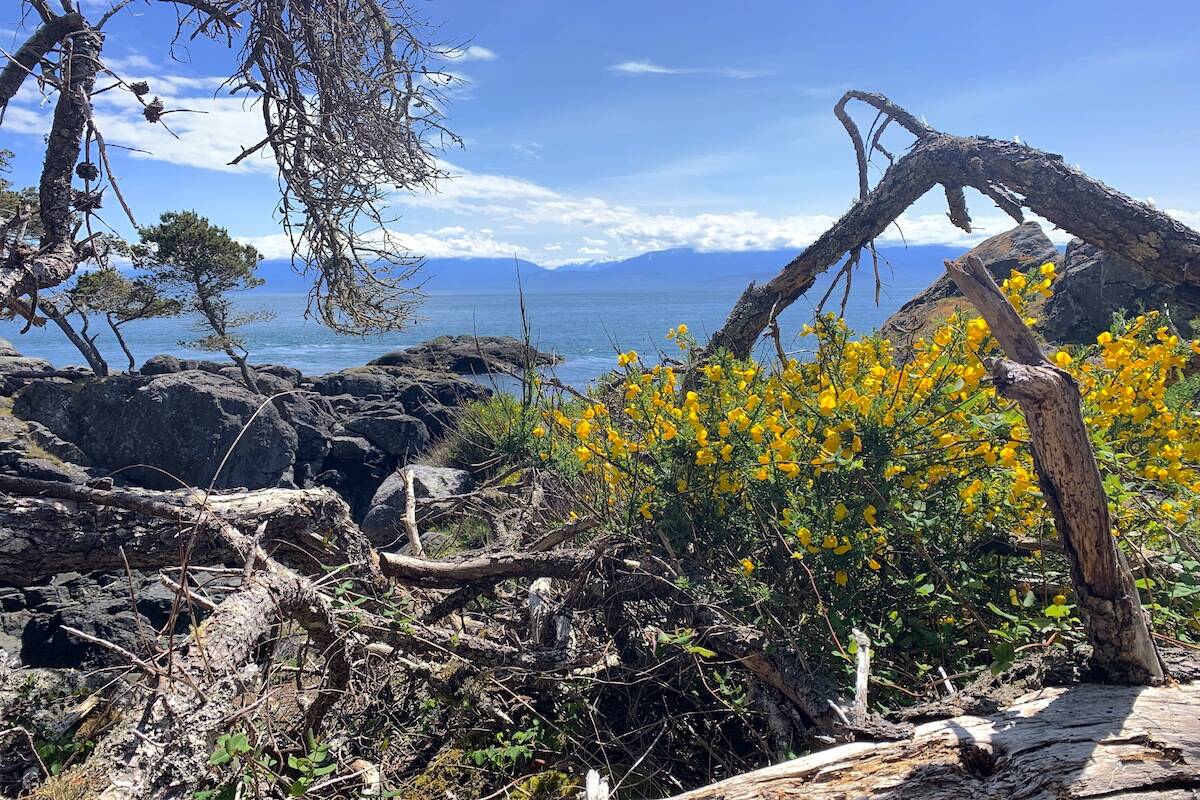 Looking out at the ocean from East Sooke Regional Park. All of the CRD’s 33 parks have been recognized in a federal database for protected and conserved areas. (Jake Romphf/News Staff)