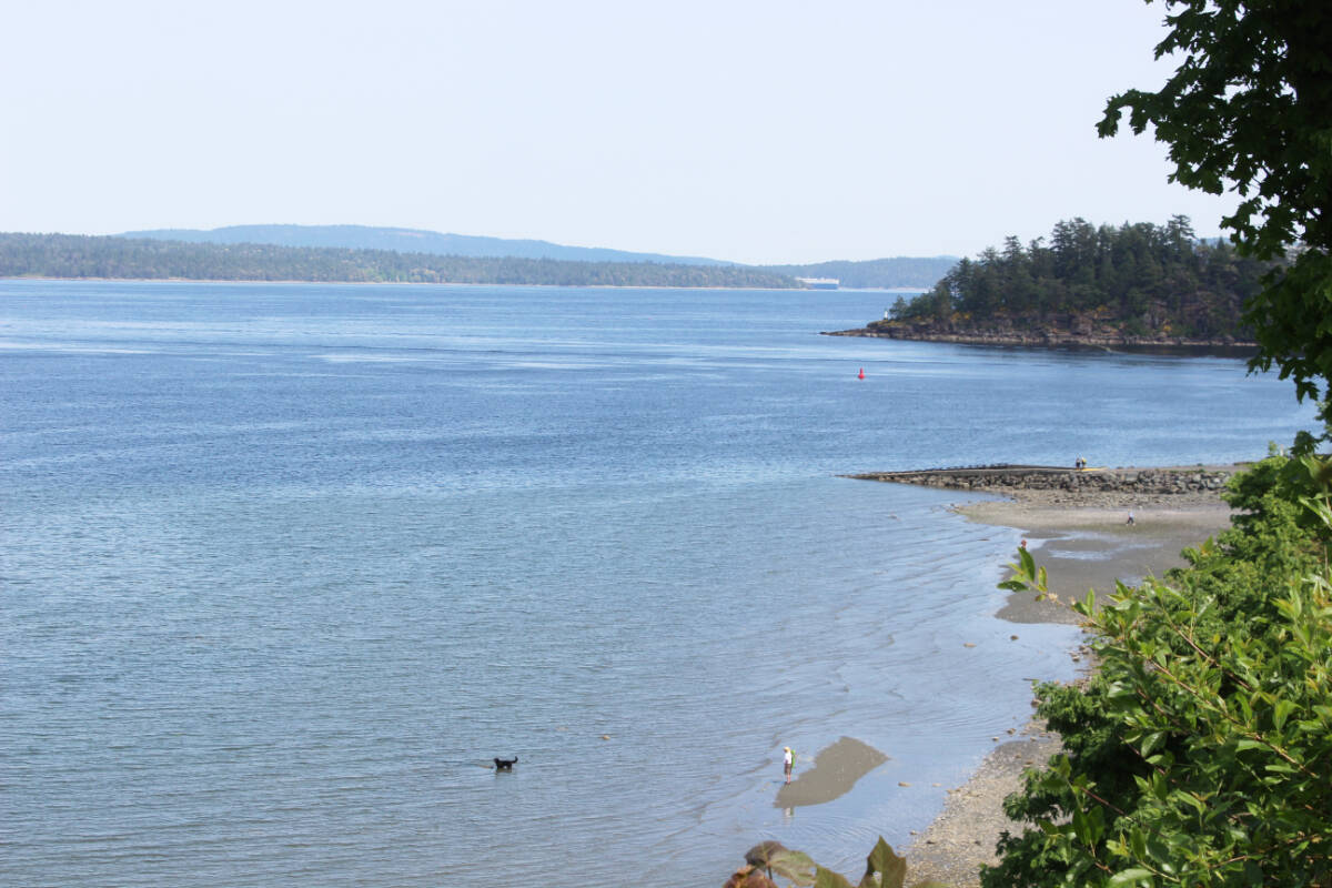 Bright sunny days were the norm in Chemainus and around the Island most of May, with very little rainfall. (Photo by Don Bodger)