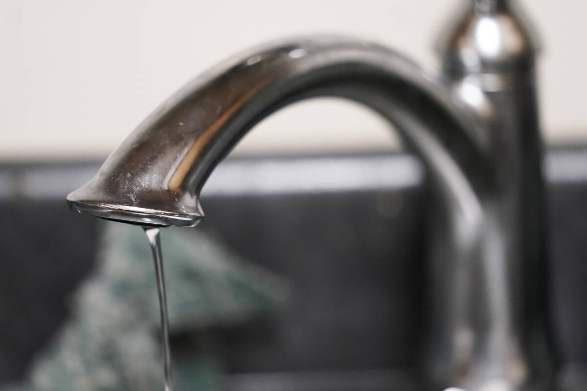 According to the Capital Regional District, finding free-living nematodes, even deceased ones, at a drinking water tap in the Greater Victoria Drinking Water System is highly unlikely. (AP Photo/Steve Helber, File)