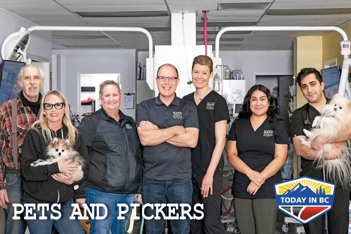 The staff of the Richmond Animal Hospital, (RAPS) (Animal Planet TV Photo)