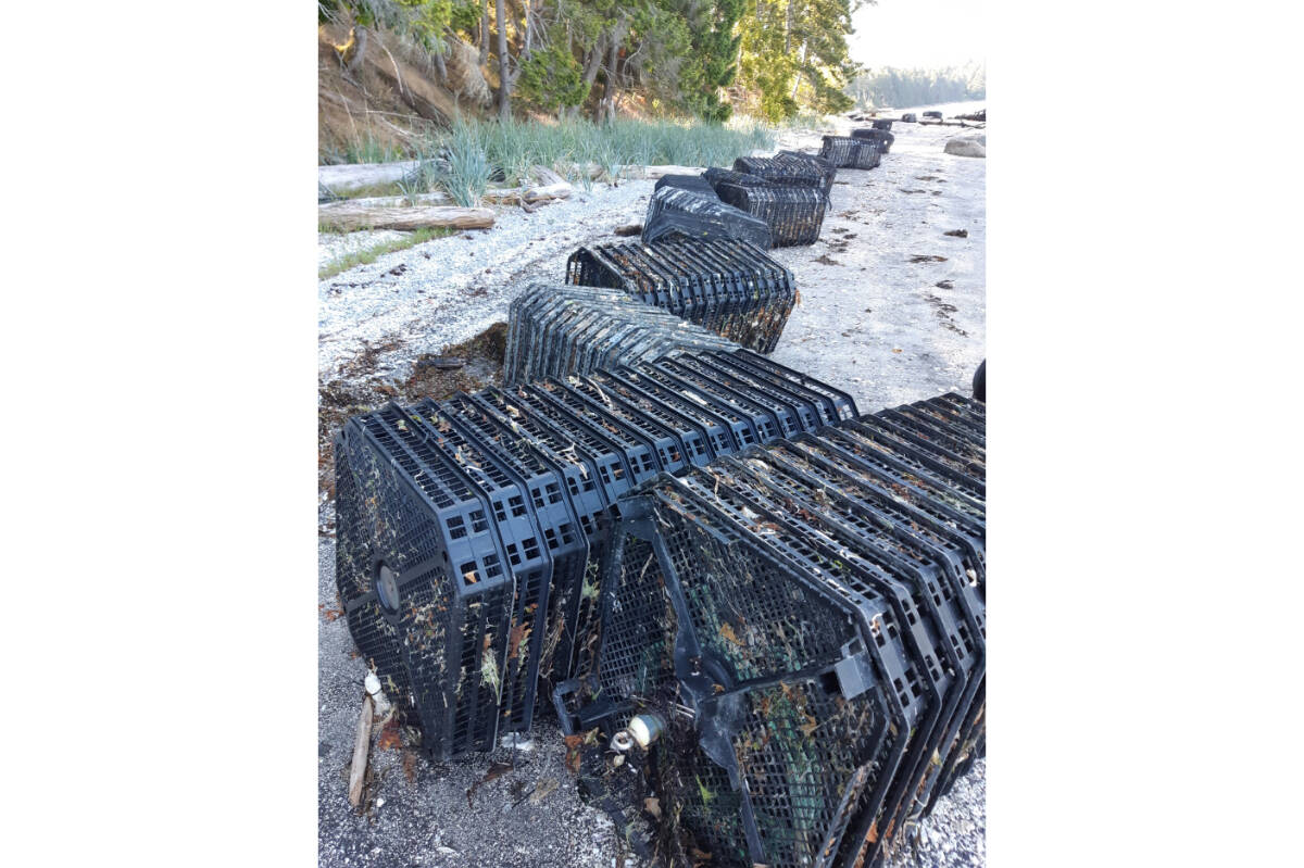Recent strong winds resulted in more than 70 stray oyster tray stacks washing ashore on Denman Island. As of April 1, 2023, all aquaculture gear is required to be properly tagged with the licence holder’s name; and DFO Facility Reference number or BC Land File number. These baskets had neither. Photo supplied