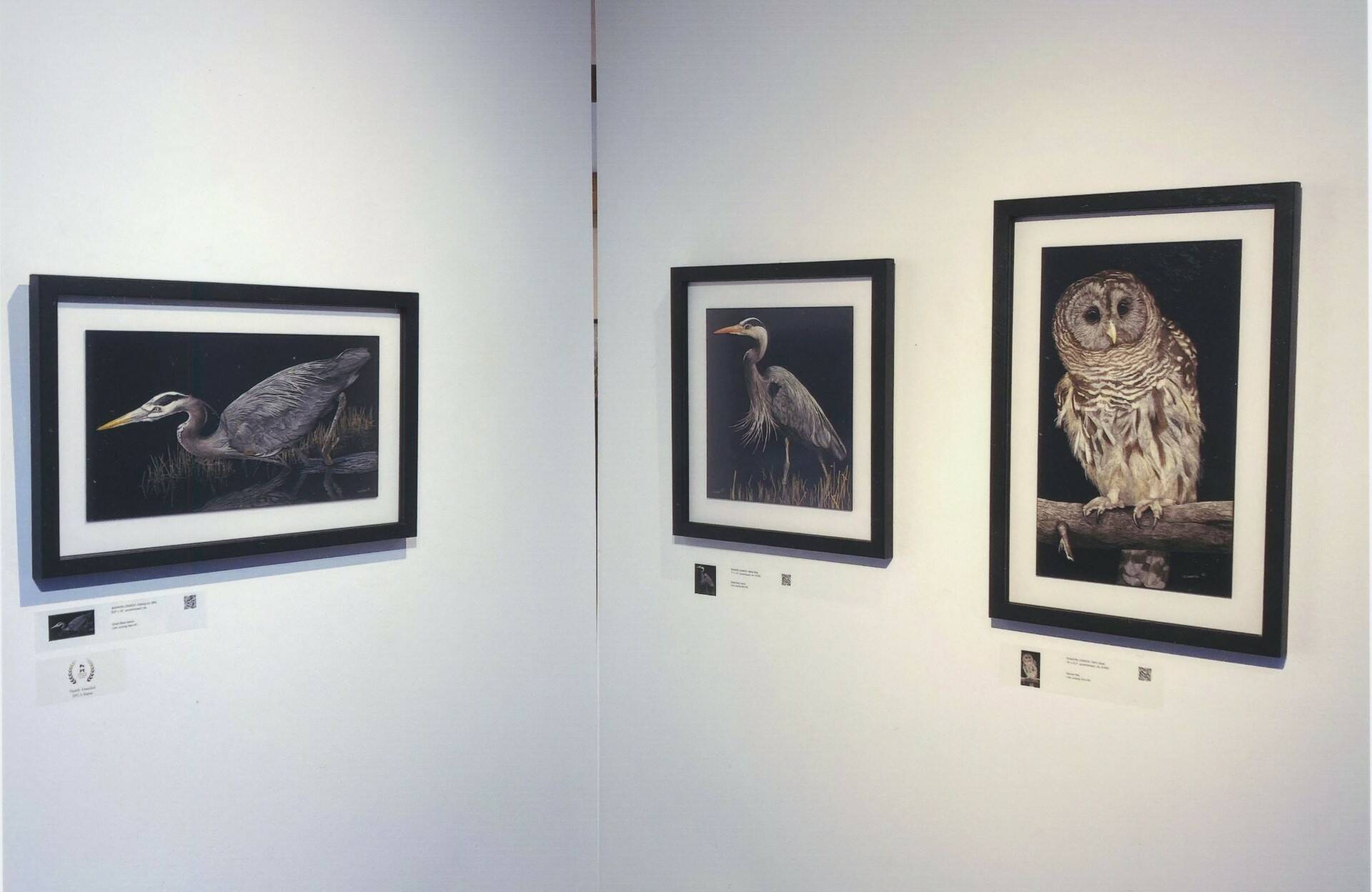Three of Sharon Lennox’s artworks are seen at a Canadian Federation of Artists gallery on Granville Island in Vancouver.