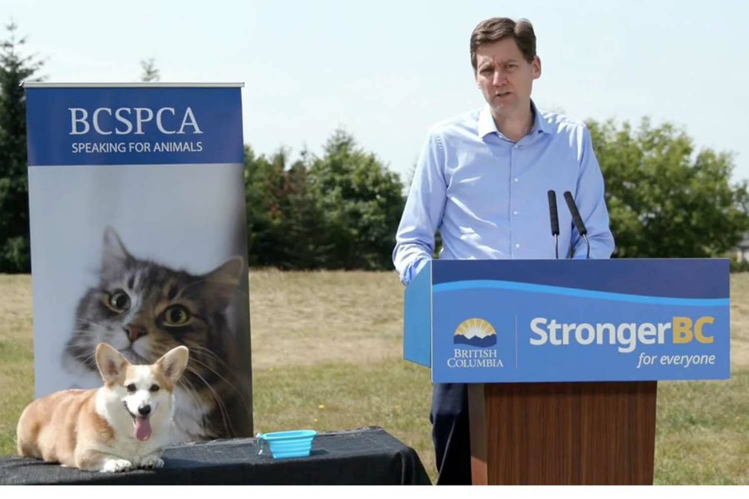 Premier David Eby announced $12 million for four new SPCA shelters in B.C. Monday. (Jeffrey Ferrier/Twitter)