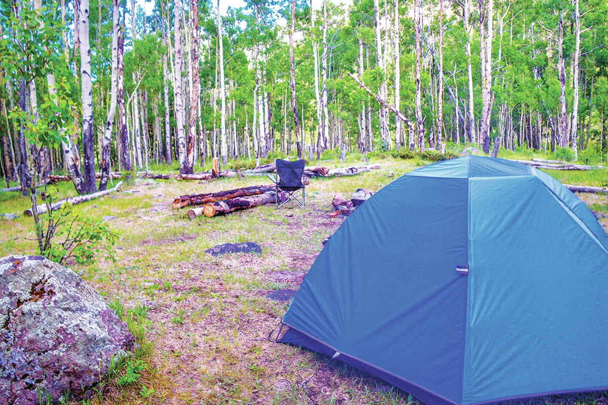 Campsite demand has been increasing in B.C., and the feature seeks to improve visitor experience and to improve on campsite turnover rates. (File photo)