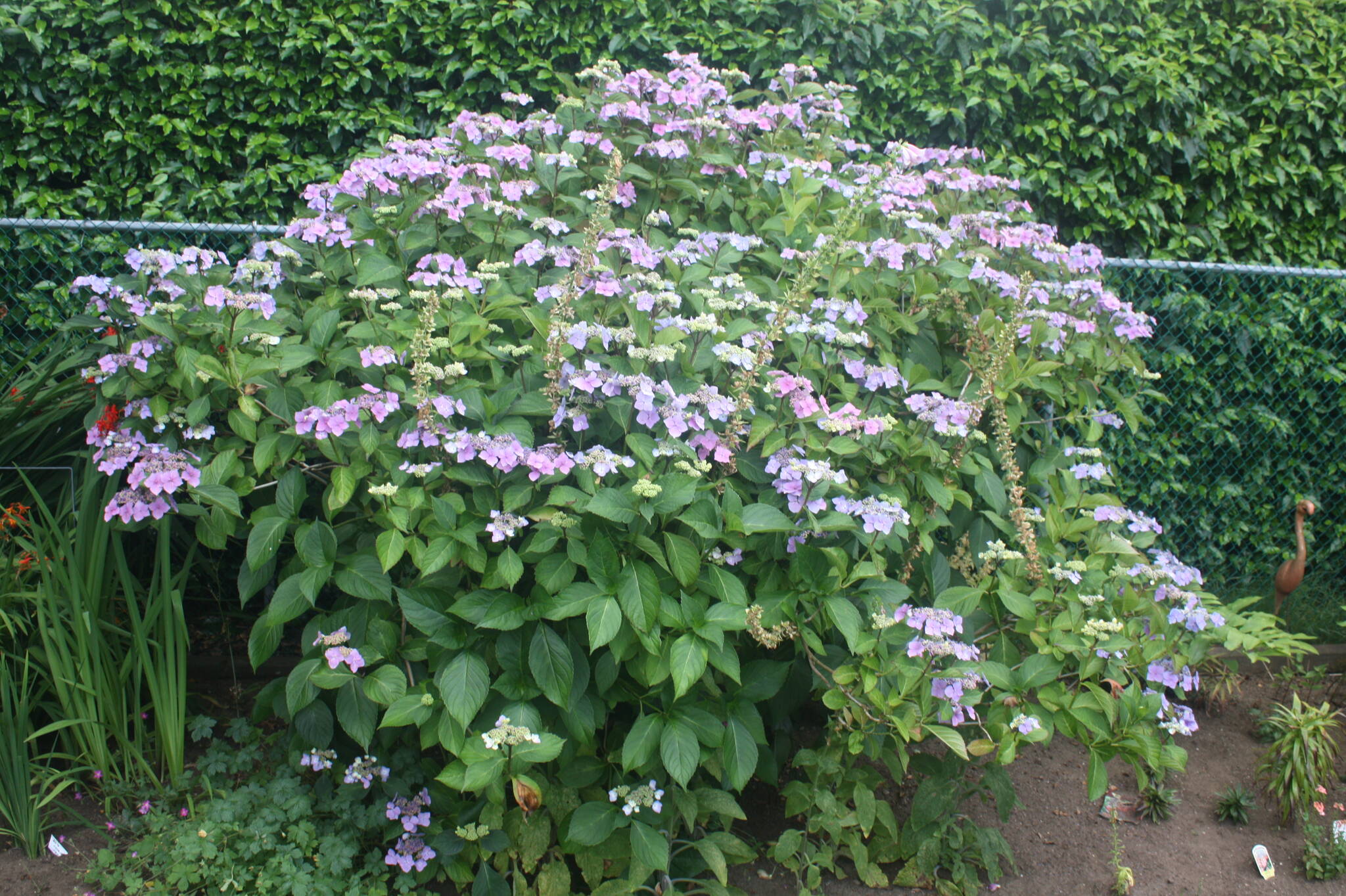Gordon Head Garden Club. (Harry Felsing/Contributed to Black Press Media)
