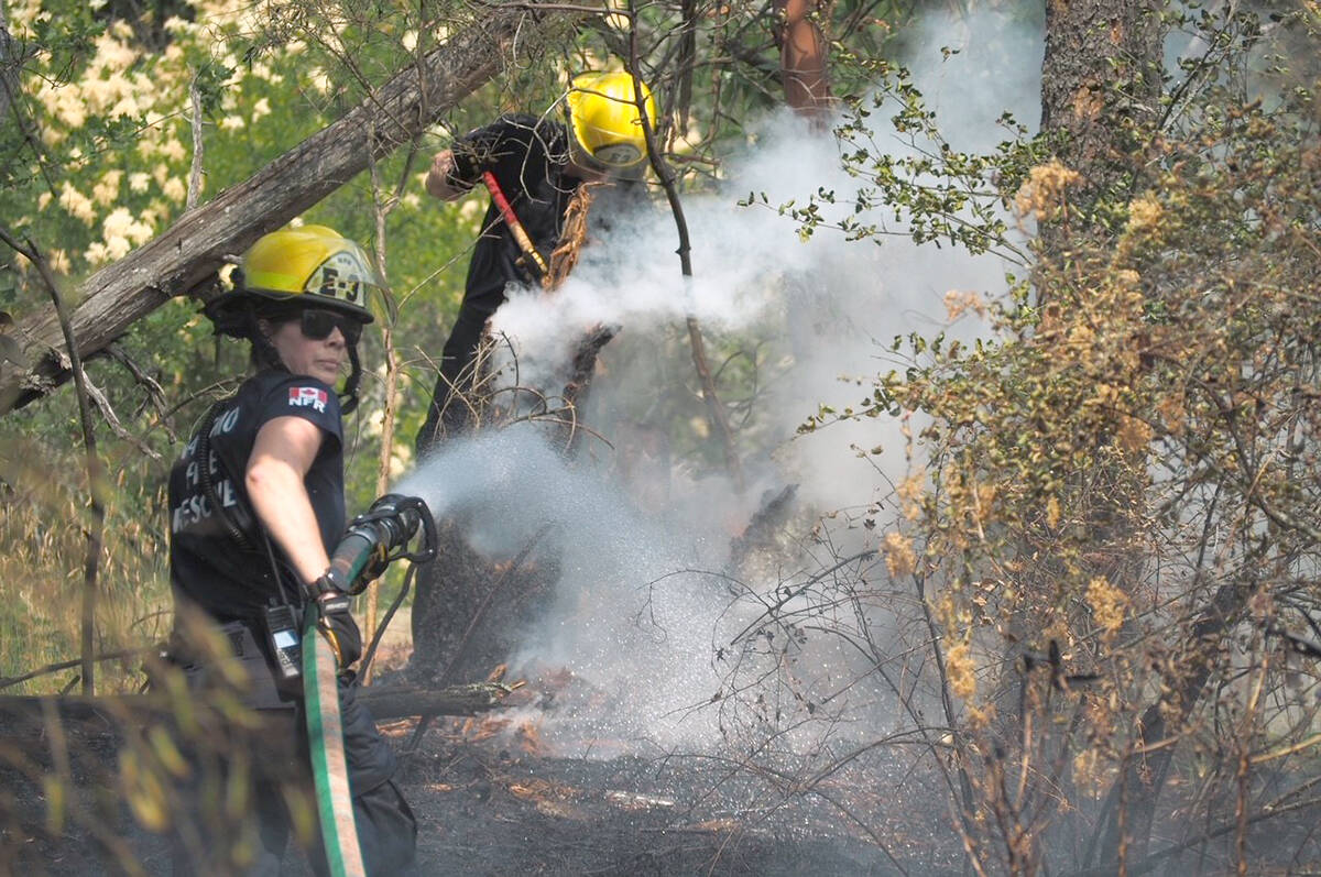 Nanaimo Fire Rescue firefighters battle one of several brush fires along the Nanaimo Parkway on Tuesday, July 4. (Chris Bush/News Bulletin)
