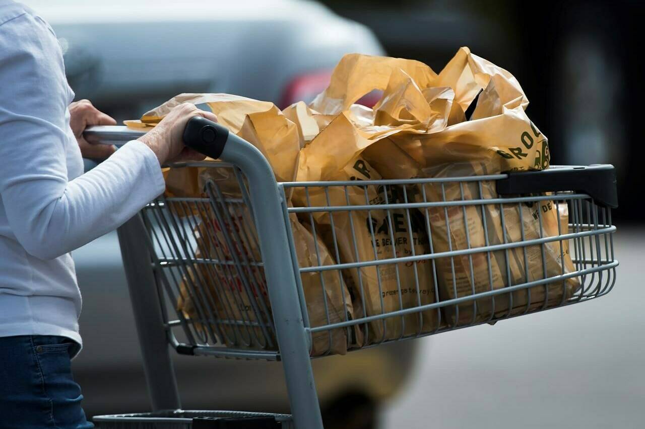 Economist Jim Stanford welcomes the grocery rebate as a step in the right direction, but calls for additional steps to lower the cost of groceries. (THE CANADIAN PRESS/Nathan Denette)