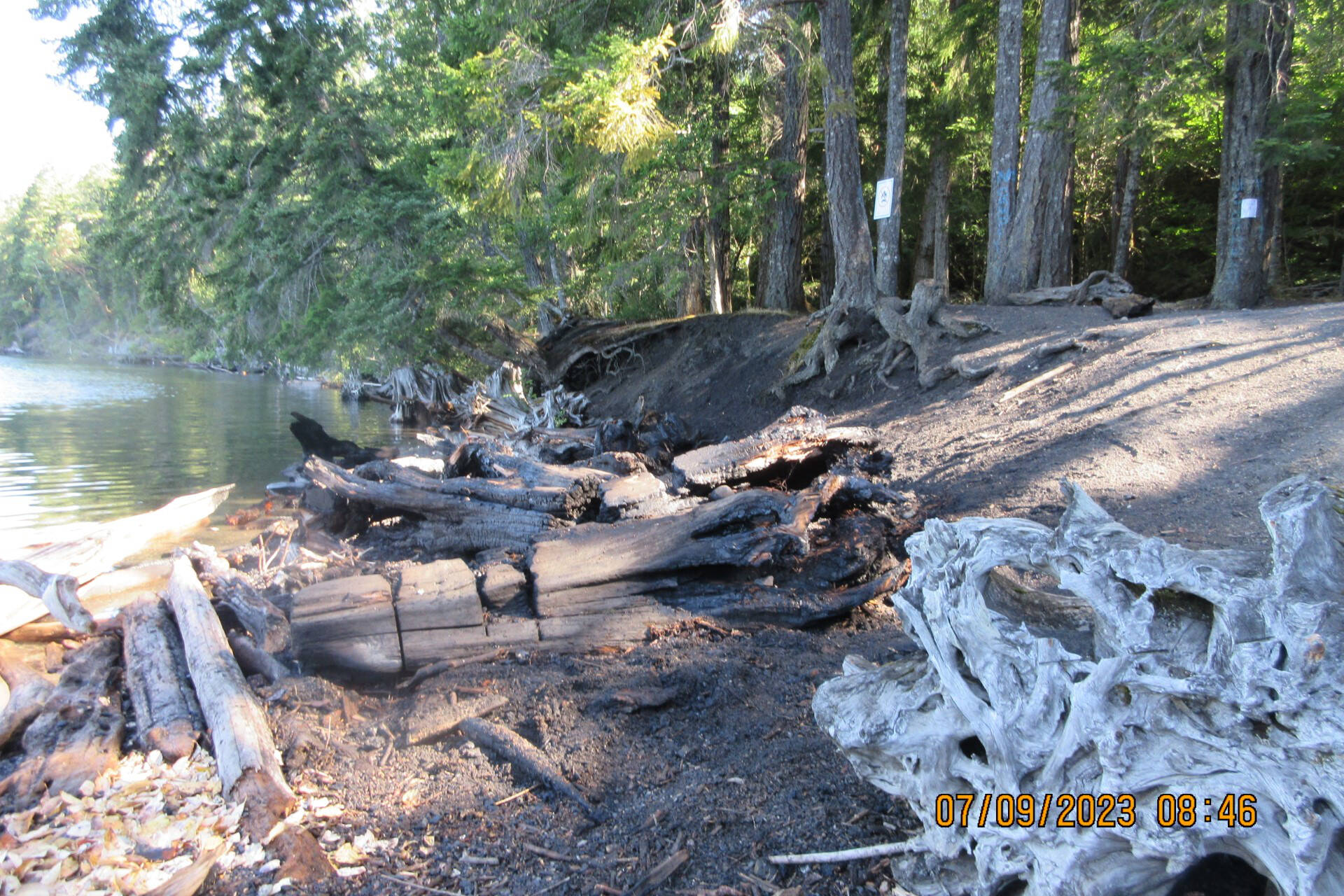Parts of burnt trees at Coal Beach after the Cumberland Fire Department extinguished a bonfire that was abandoned and re-ignited early Sunday morning. Photo by Mike Williamson/submitted