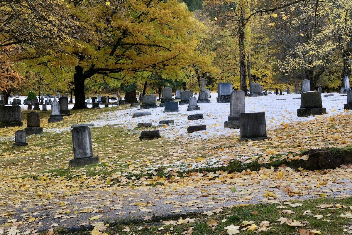 The possibility of natural burials and green burials are the subjects of discussions at Nelson City Council. Photo: Bill Metcalfe