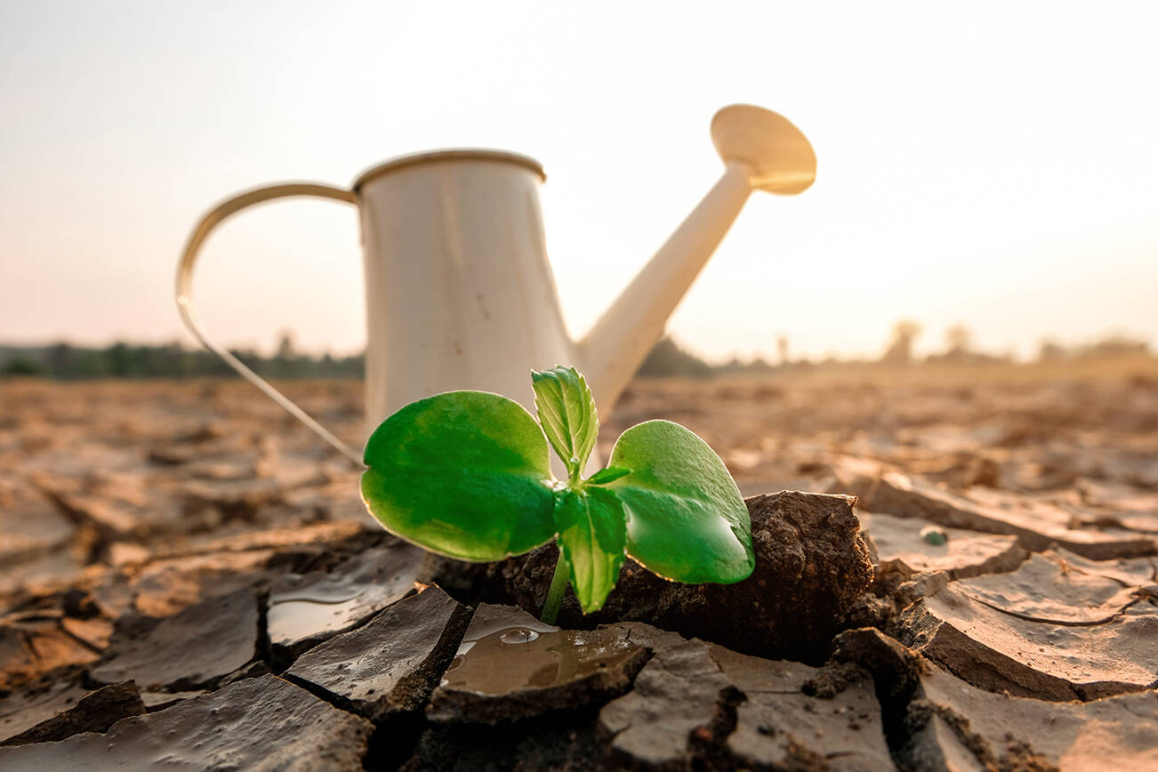 Drought conditions in B.C. are disproportionately worse compared to seasonal averages, and officials and experts are urging British Columbians to be sparing with their water usage. (Adobe stock)