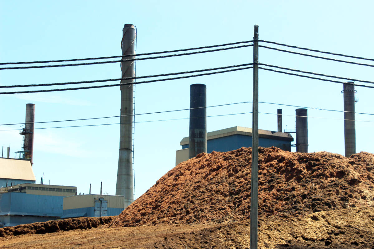 The Catalyst Crofton Paper Excellence mill has been idled the last two weeks. (Photo by Don Bodger)