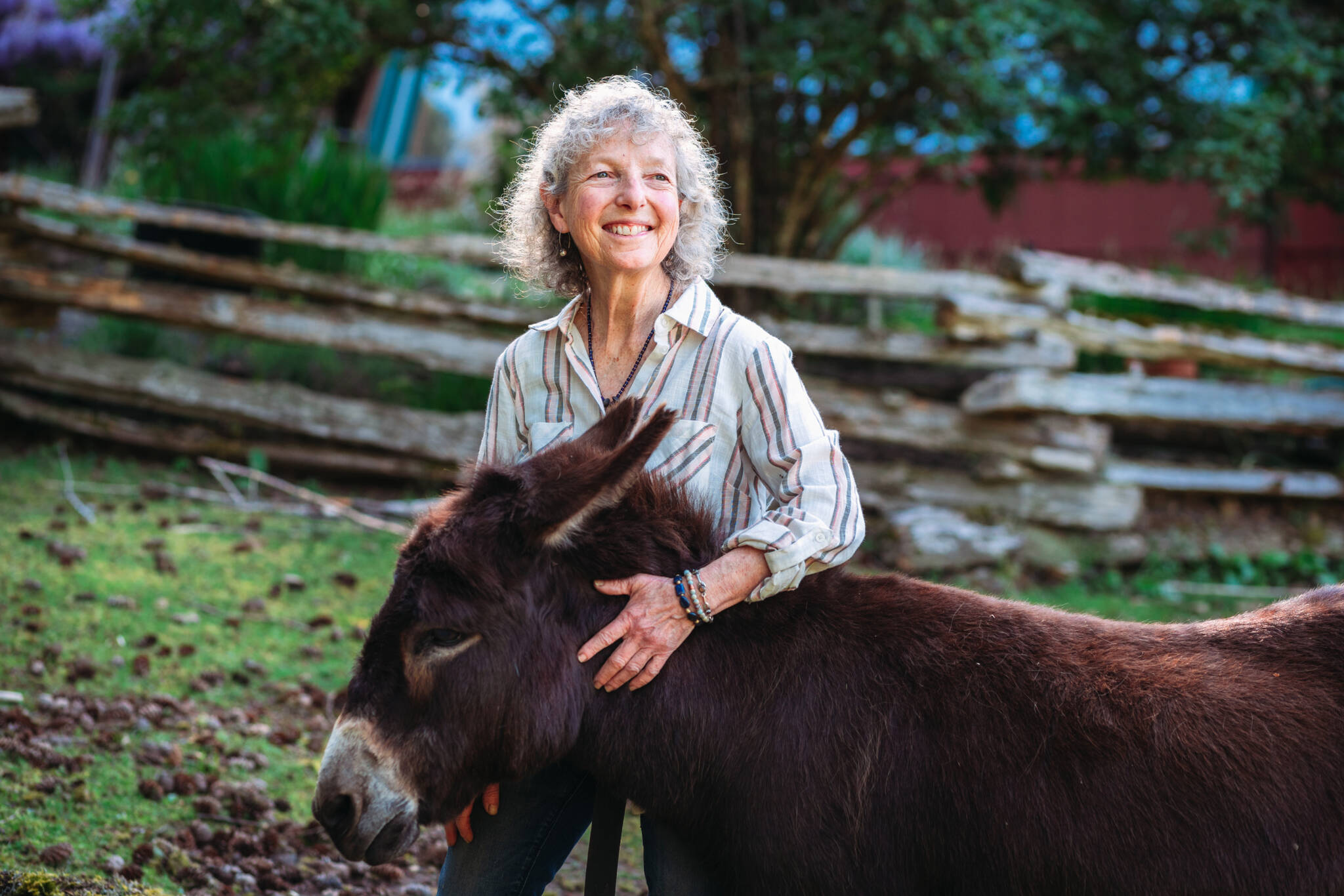 Cynthia Minden is a visual artist, and classical musician, who has an affinity for donkeys. Photo by Ali Roddam