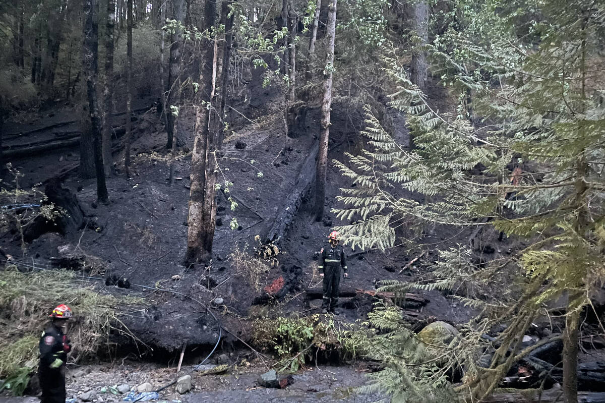 Firefighters inspect the site of a wildfire in Dry Creek gully near 16th Avenue on Monday, July 17, 2023. The fire was nearly a hectare in size, burned in difficult terrain and was still under investigation. (PORT ALBERNI FIRE DEPT. PHOTO)